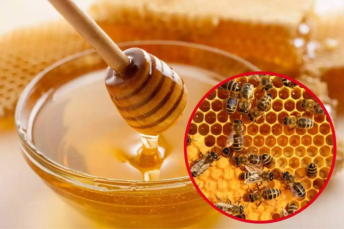 Muntatge amb un bol ple de mel i un cercle amb diverses abelles en una bresca