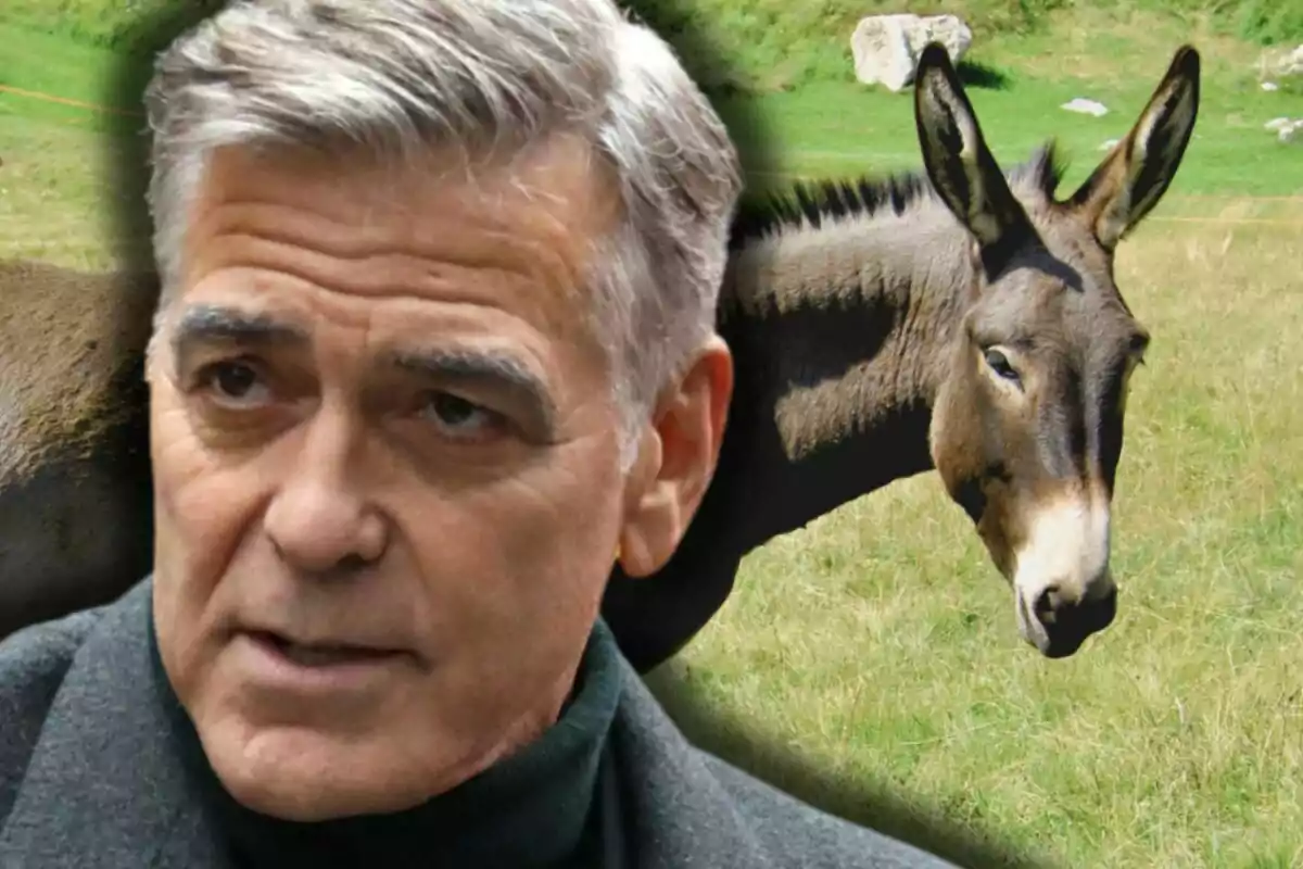 A gray-haired man appears in the foreground next to a donkey in a green field.