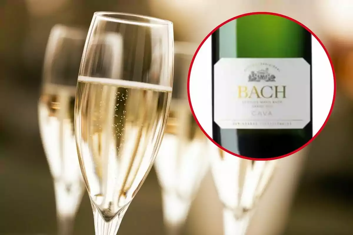 Copas de cava espumoso con una etiqueta de botella de cava Bach en un círculo destacado.