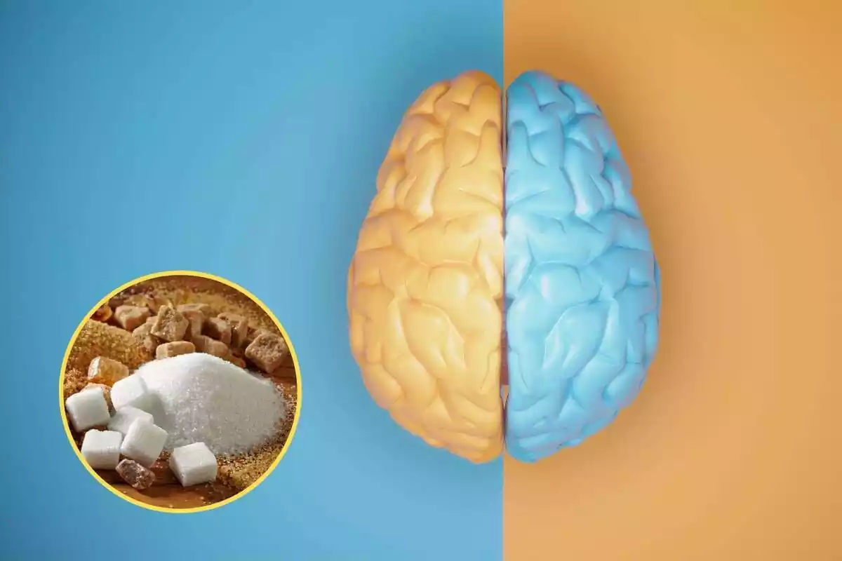 Muntatge d'una imatge dels lòbuls cerebrals amb un contrast en blau i groc i una imatge de sucre Muntatge d'una imatge dels lòbuls cerebrals amb un contrast en blau i groc i una imatge de sucre