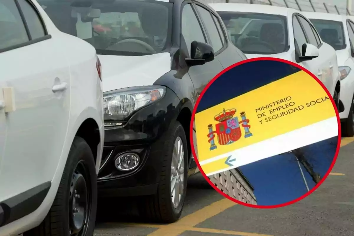 Fila de cotxes estacionats amb un requadre que mostra el logotip del Ministeri d'Ocupació i Seguretat Social d'Espanya.