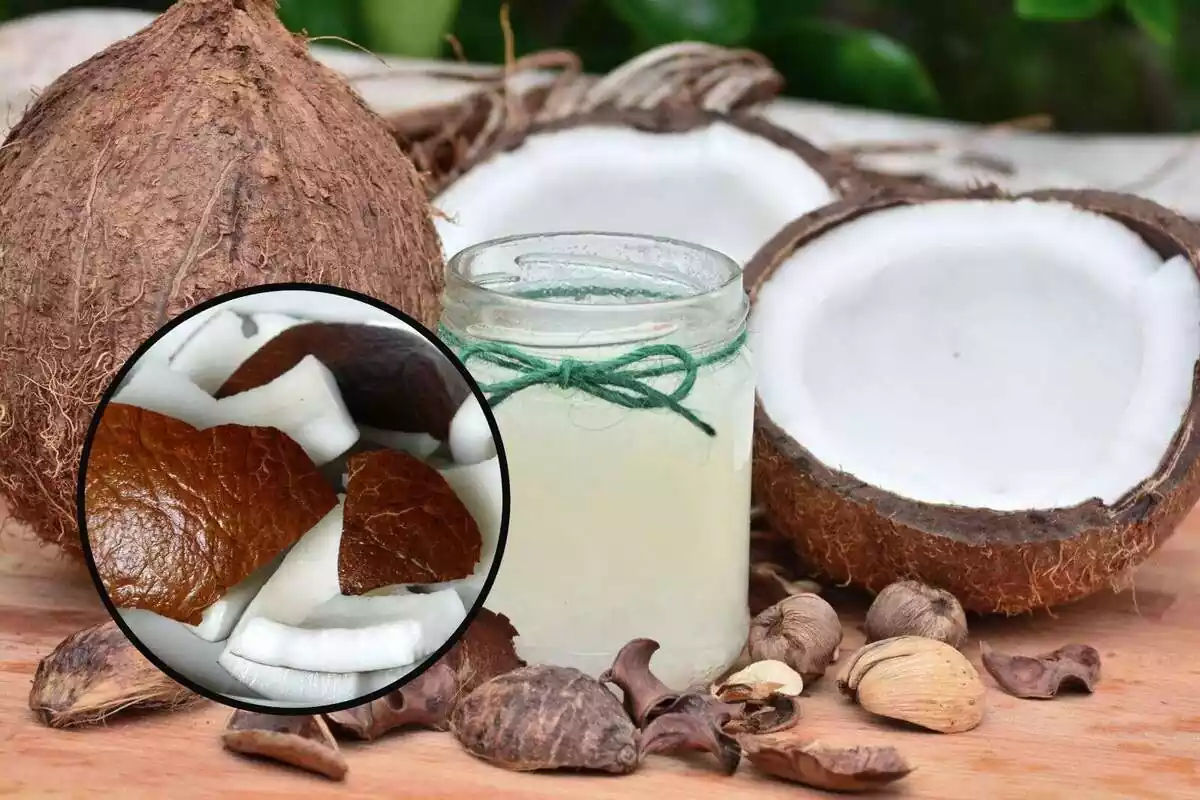Muntatge de diversos cocos i llet de coco