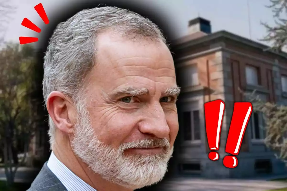 Muntatge de fotos del rei Felip de Borbó somrient lleugerament davant d'una imatge de la Zarzuela amb signes d'exclamació vermells al voltant.