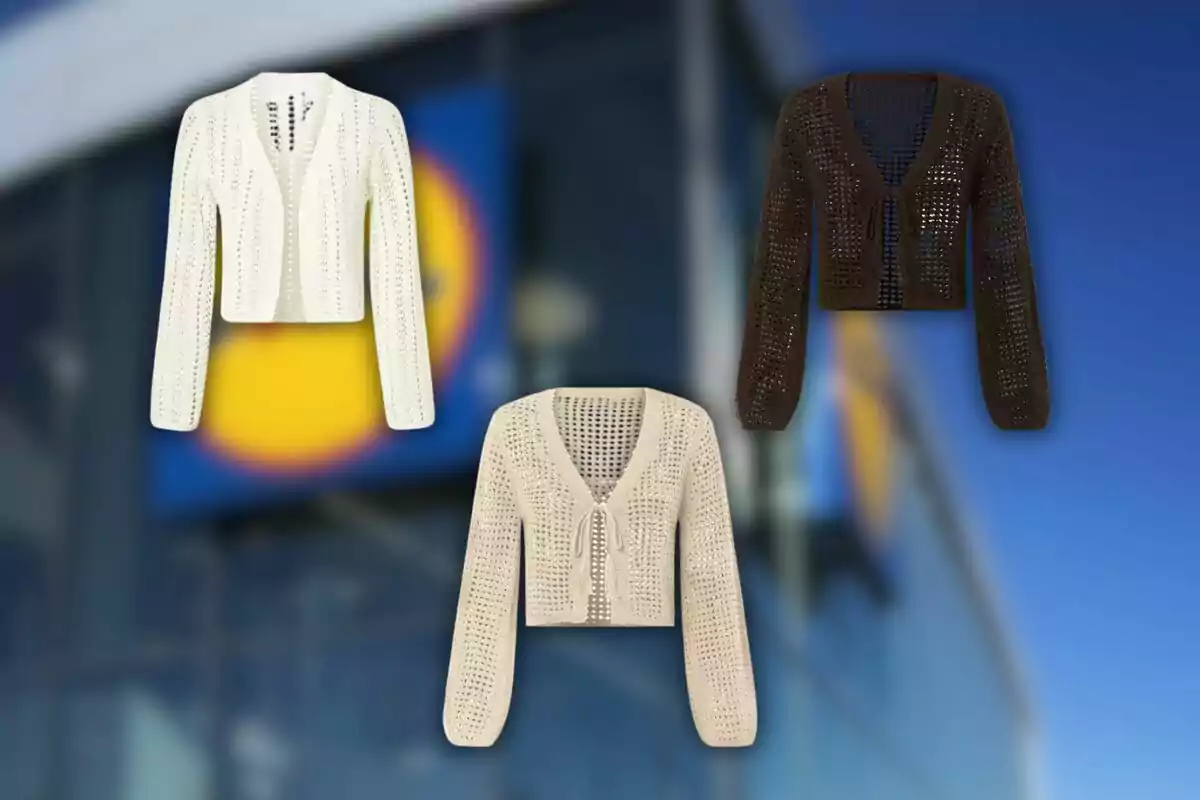 Tres cangur de ganxet en colors blanc, beix i marró de Lidl floten sobre un fons desenfocat d'un edifici amb un logotip blau i groc. Tres cangur de ganxet en colors blanc, beix i marró de Lidl floten sobre un fons desenfocat d'un edifici amb un logotip blau i groc.