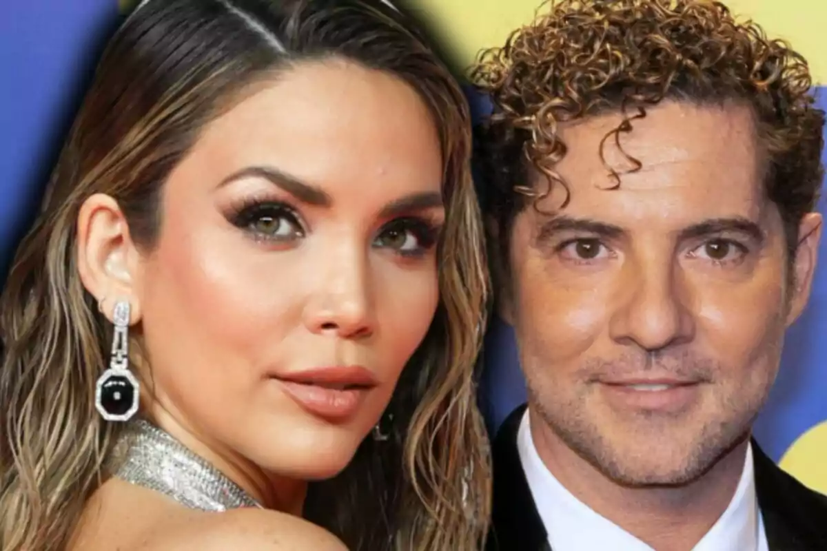 Close-up photo montage of David Bisbal with a half-smiling face and Rosanna Zanetti with a serious expression.