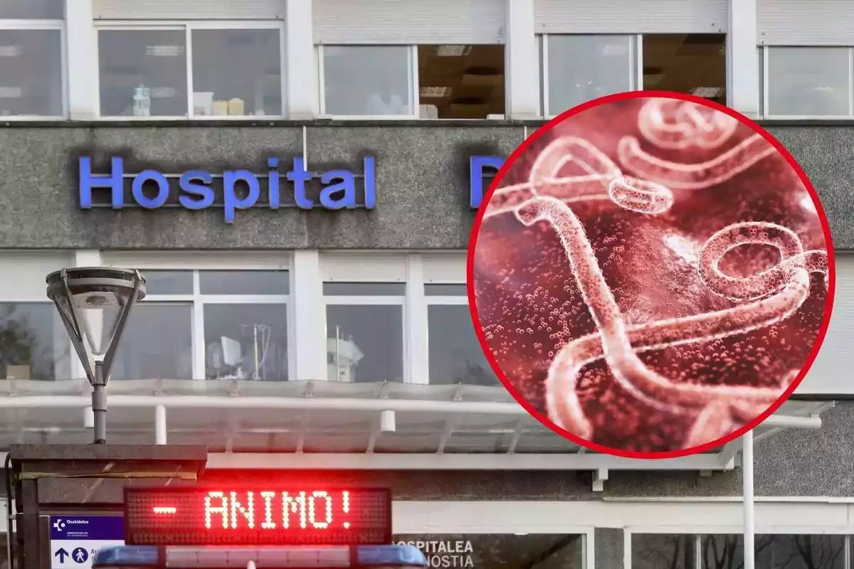 Muntatge amb l'hospital de Donostia - Sant Sebastià, un missatge d'ànims i una recreació de l'èbola