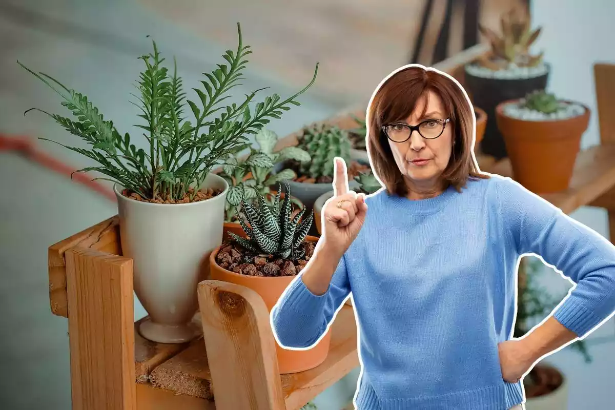 Muntatge d'un fons amb un banc amb testos de plantes i una dona alertant amb el dit índex