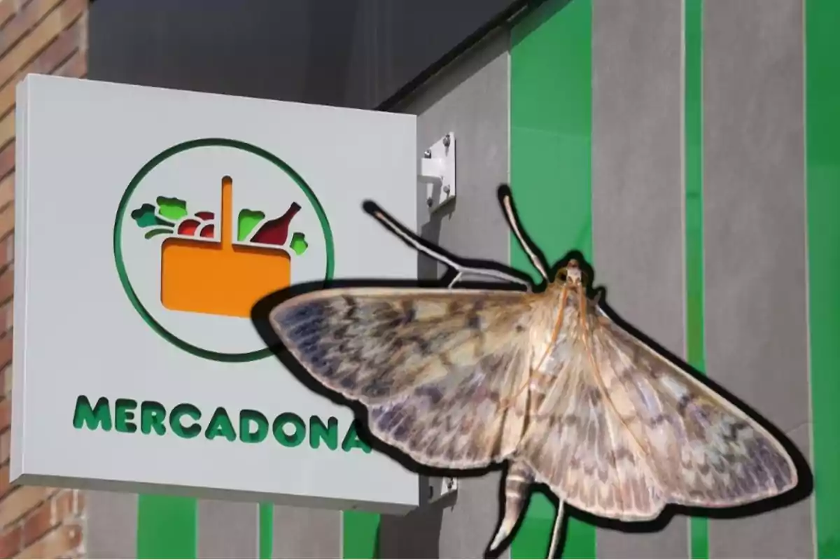 Un cartell de la botiga Mercadona amb una arna gran superposada en primer pla.