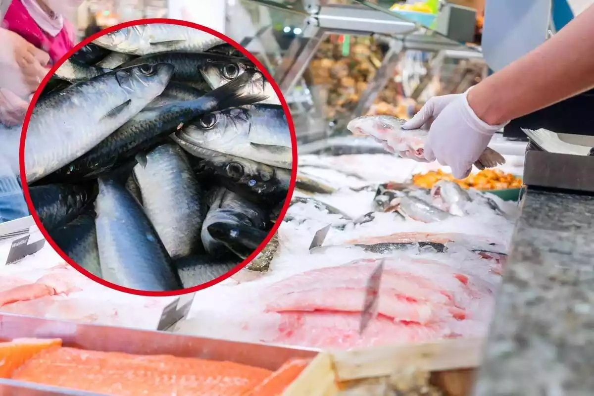 Muntatge amb el taulell d'una peixateria i un cercle amb diverses arengades amuntegades