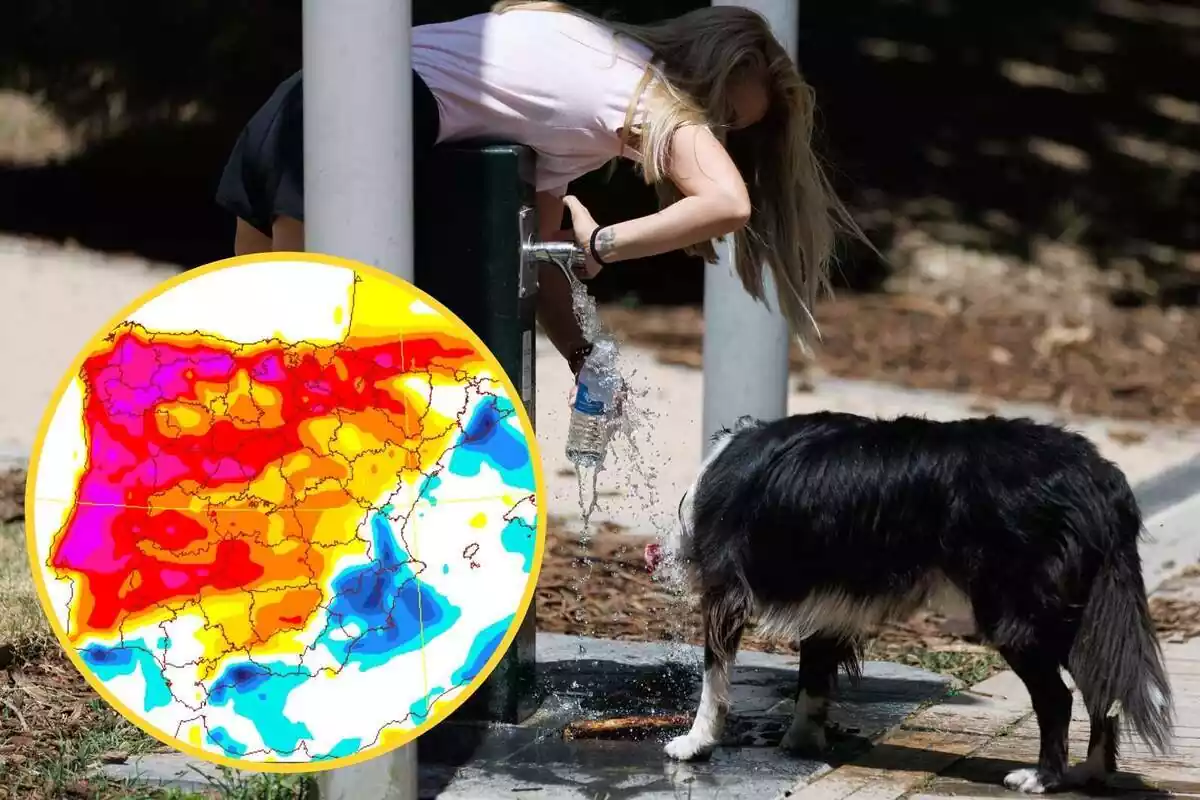 Muntatge amb una dona omplint una ampolla d'aigua en una font al costat del gos i un cercle amb el mapa de temperatures de l'AEMET