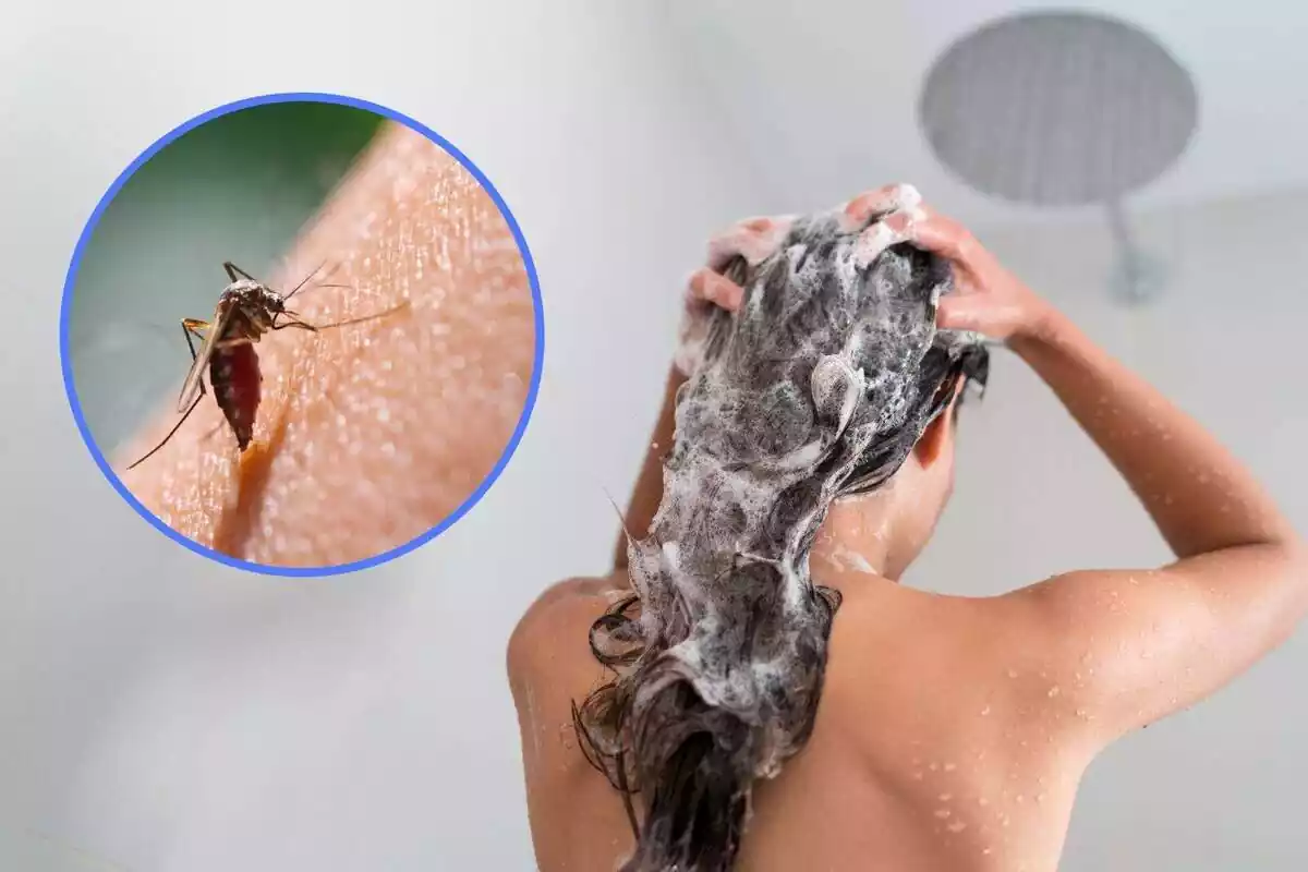 Muntatge duna persona dutxant-se i en un marc una imatge dun mosquit