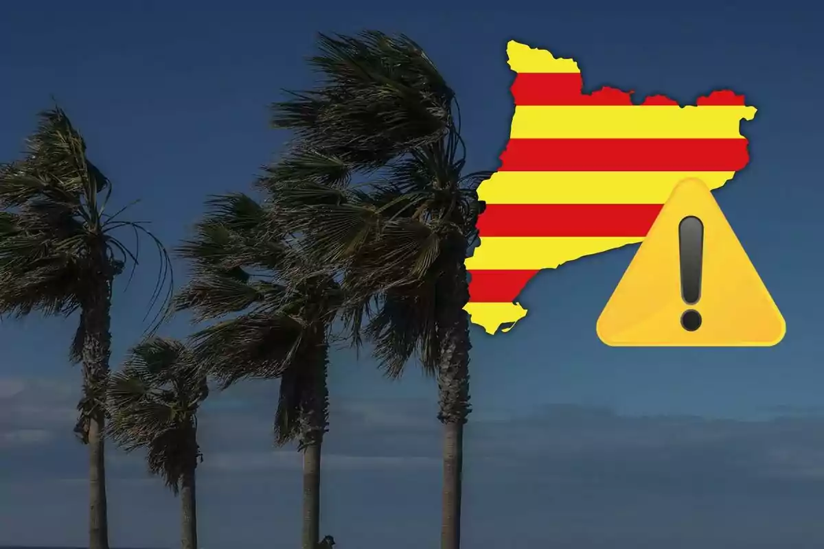 Palmeres inclinades pel vent amb un mapa de Catalunya en colors de la senyera i una icona d'advertència. Palmeres inclinades pel vent amb un mapa de Catalunya en colors de la senyera i una icona d'advertència.