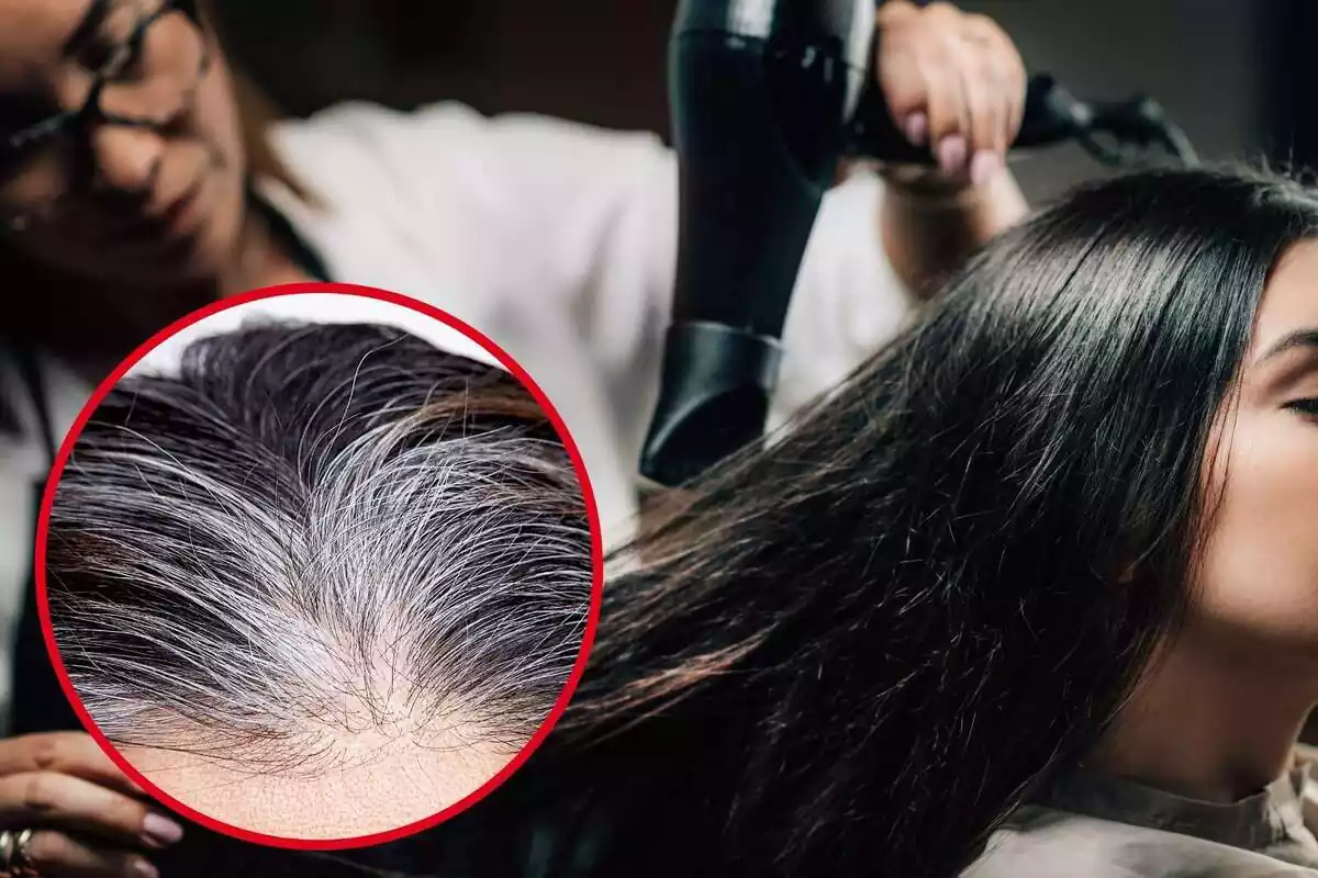 Muntatge amb una perruquera assecant els cabells a una clienta i un cercle amb uns cabells blancs