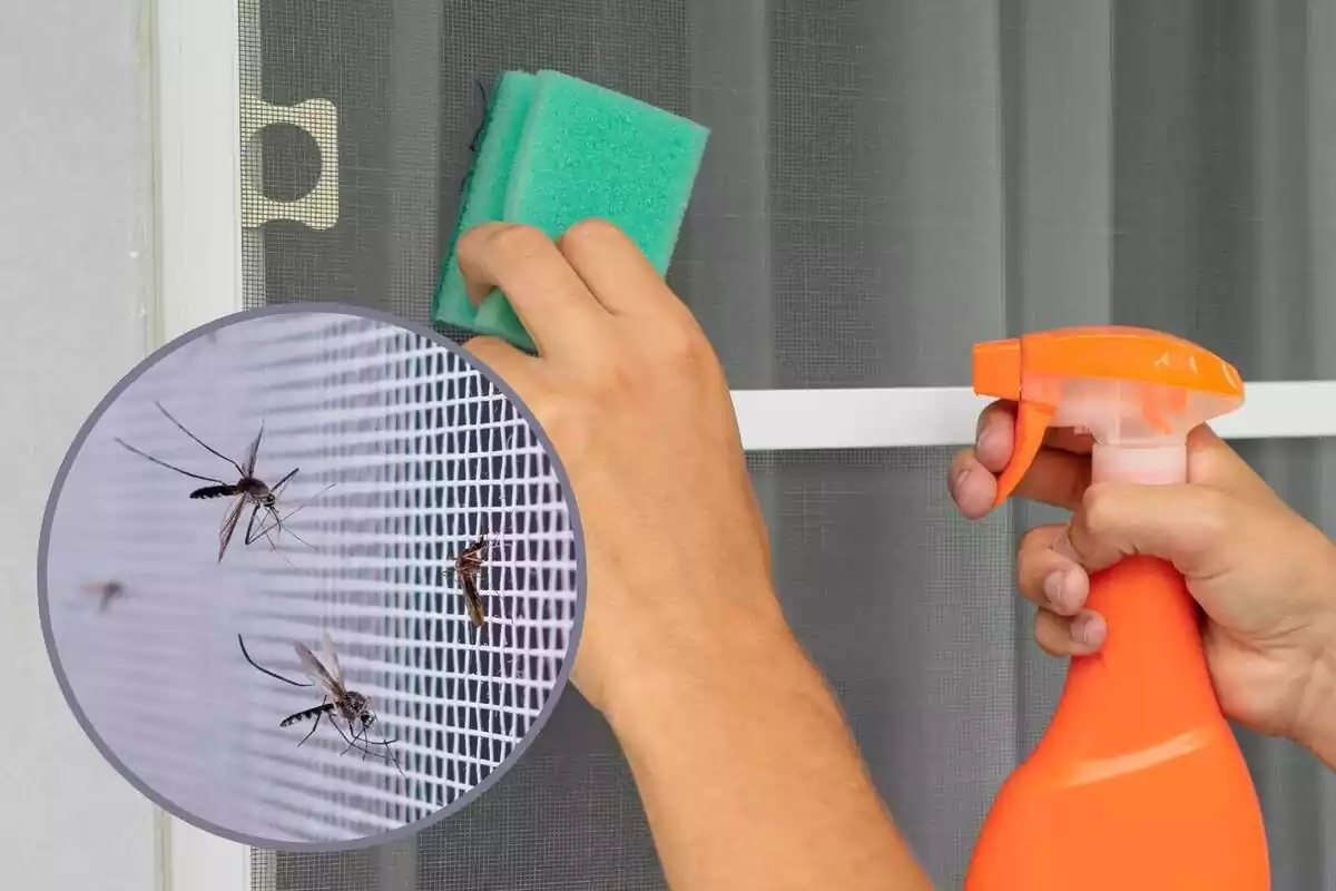 Muntatge amb una persona netejant una mosquitera i un cercle amb diversos mosquits