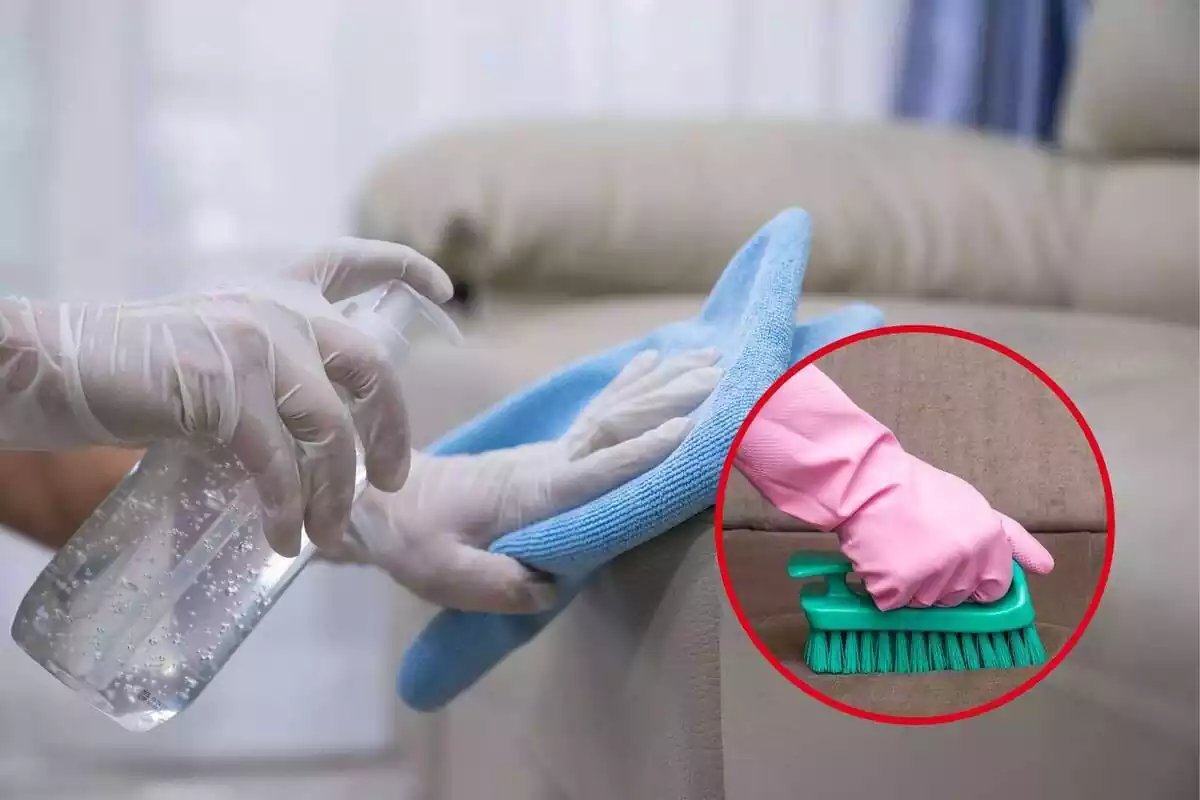 Muntatge d'una persona netejant el sofa amb un esprai un drap i una foto d'un raspall