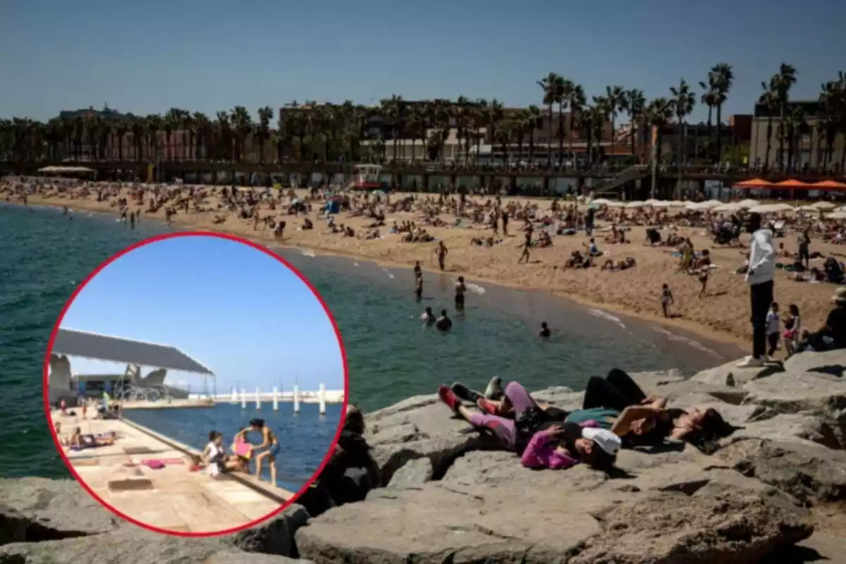 Muntatge d´una platja de Barcelona plena de gent i la platja del Fòrum Muntatge d´una platja de Barcelona plena de gent i la platja del Fòrum