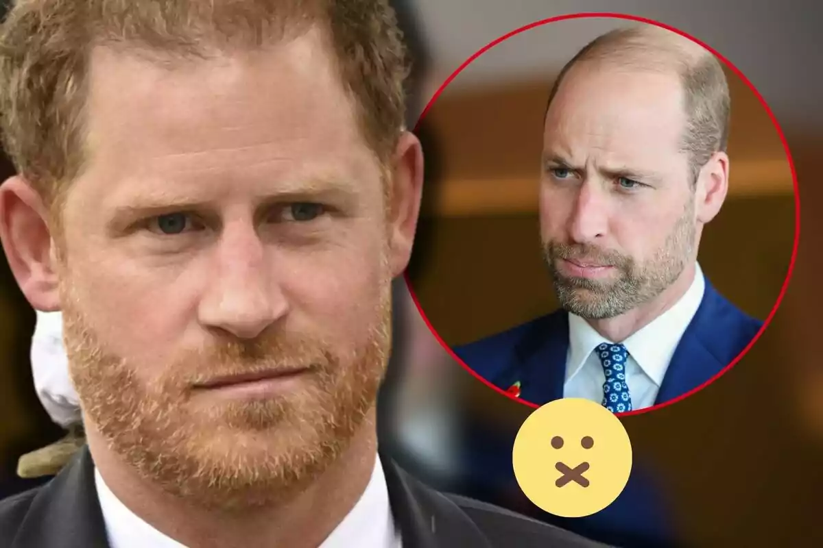 Prince Harry and Prince William with serious expressions, one in the foreground and the other in a red circle in the top right corner.