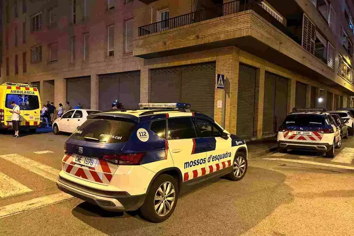 Vehicles dels Mossos d'Esquadra a Girona