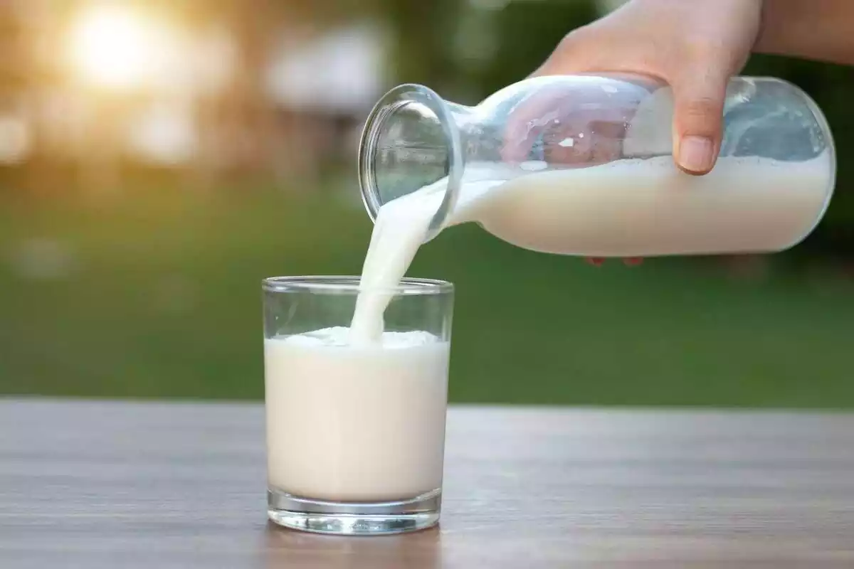 Persona omplint un got de llet
