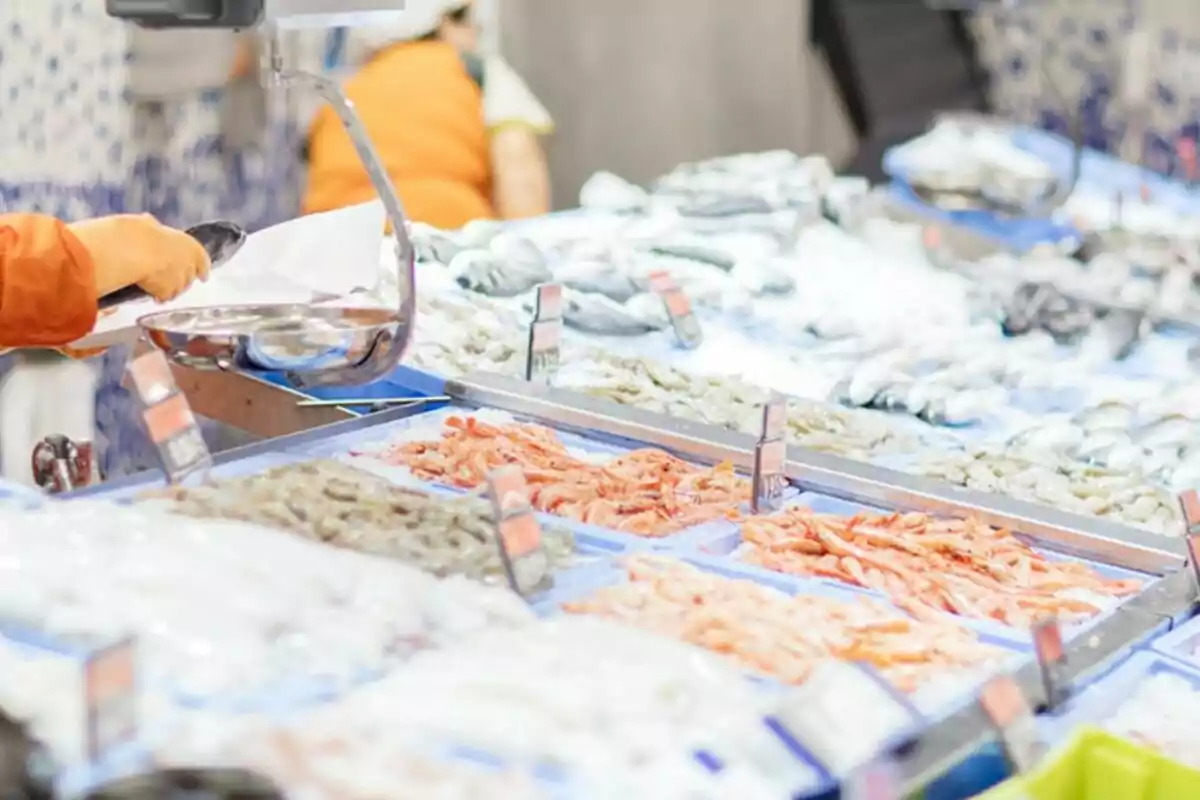 Person wearing orange gloves manning a seafood counter at a market. Person wearing orange gloves manning a seafood counter at a market.