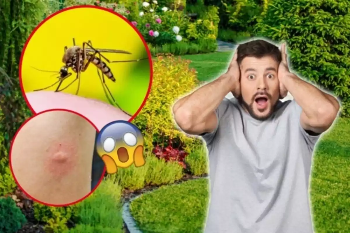 Home sorprès per una picada de mosquit a un jardí.