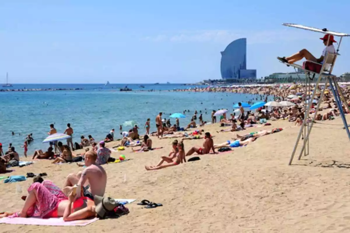 La platja de la Barceloneta