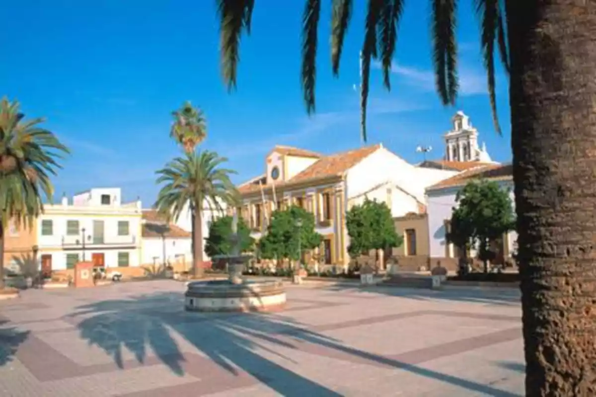 Plaça assolellada amb palmeres, una font central i edificis històrics al fons Plaça assolellada amb palmeres, una font central i edificis històrics al fons