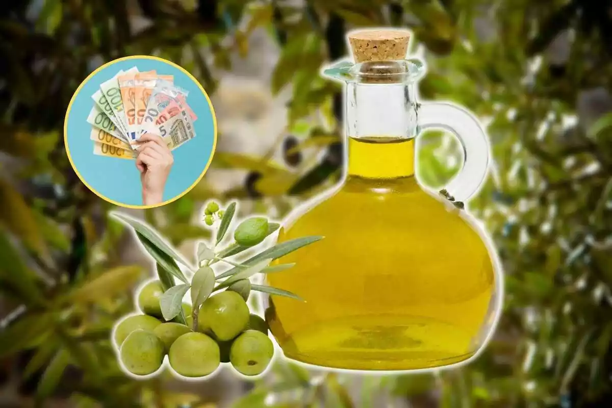 Setrill amb oli d'oliva amb el fons d'una olivera i una imatge destacada a l'esquerra d'una mà amb bitllets