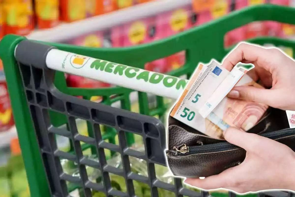 Muntatge amb carret de la compra de Mercadona i mans subjectant moneder amb bitllets d'euro