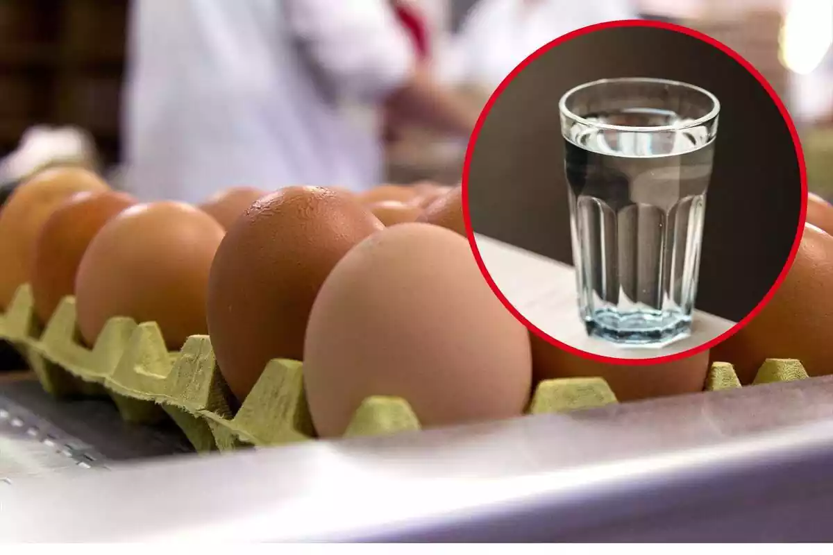 Muntatge amb conjunt d'ous i cercle vermell amb got d'aigua