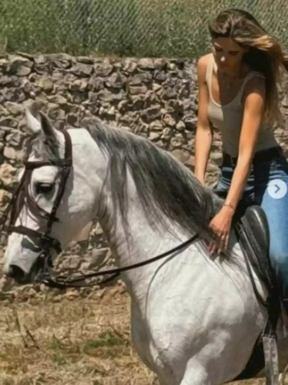 Ana Soria muntant un cavall blanc en una àrea a l'aire lliure amb un mur de pedra al fons. Ana Soria muntant un cavall blanc en una àrea a l'aire lliure amb un mur de pedra al fons.