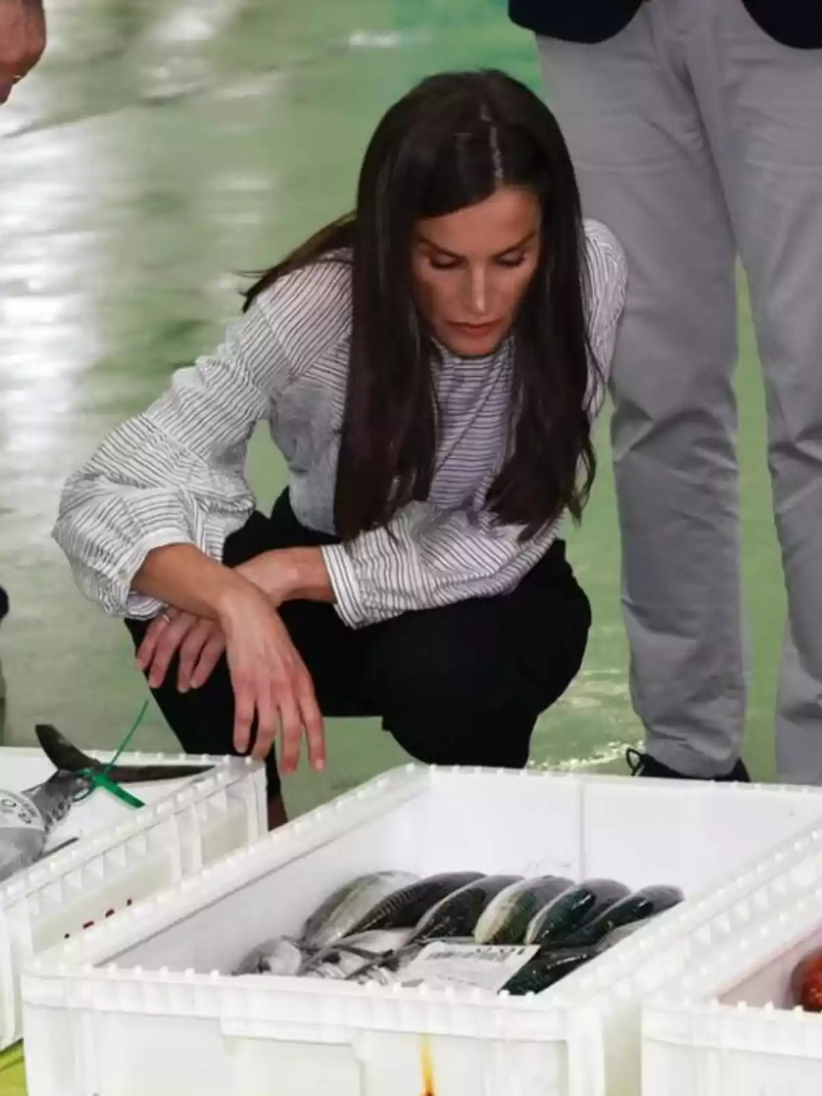 Queen Letizia closely observes a white box full of fresh fish at a market or fish auction. Queen Letizia closely observes a white box full of fresh fish at a market or fish auction.