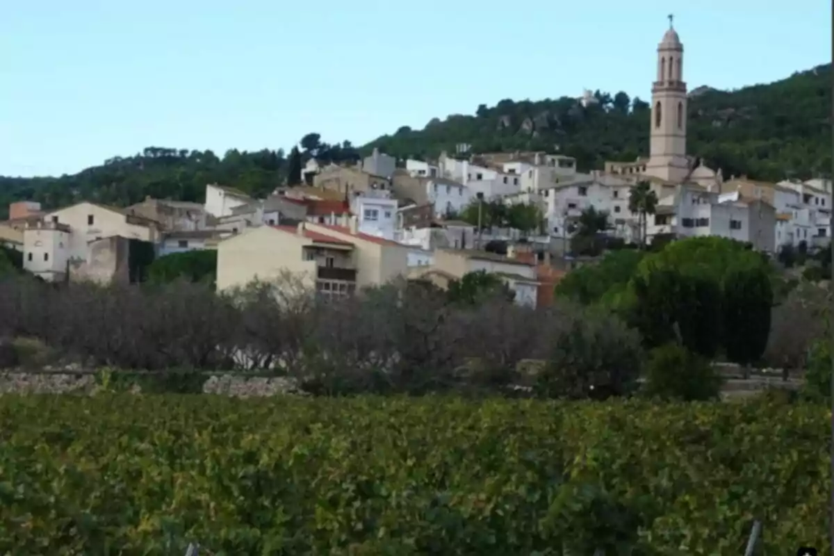 Vista de un pequeño pueblo con casas blancas y una iglesia con campanario, rodeado de vegetación y colinas. Vista de un pequeño pueblo con casas blancas y una iglesia con campanario, rodeado de vegetación y colinas.