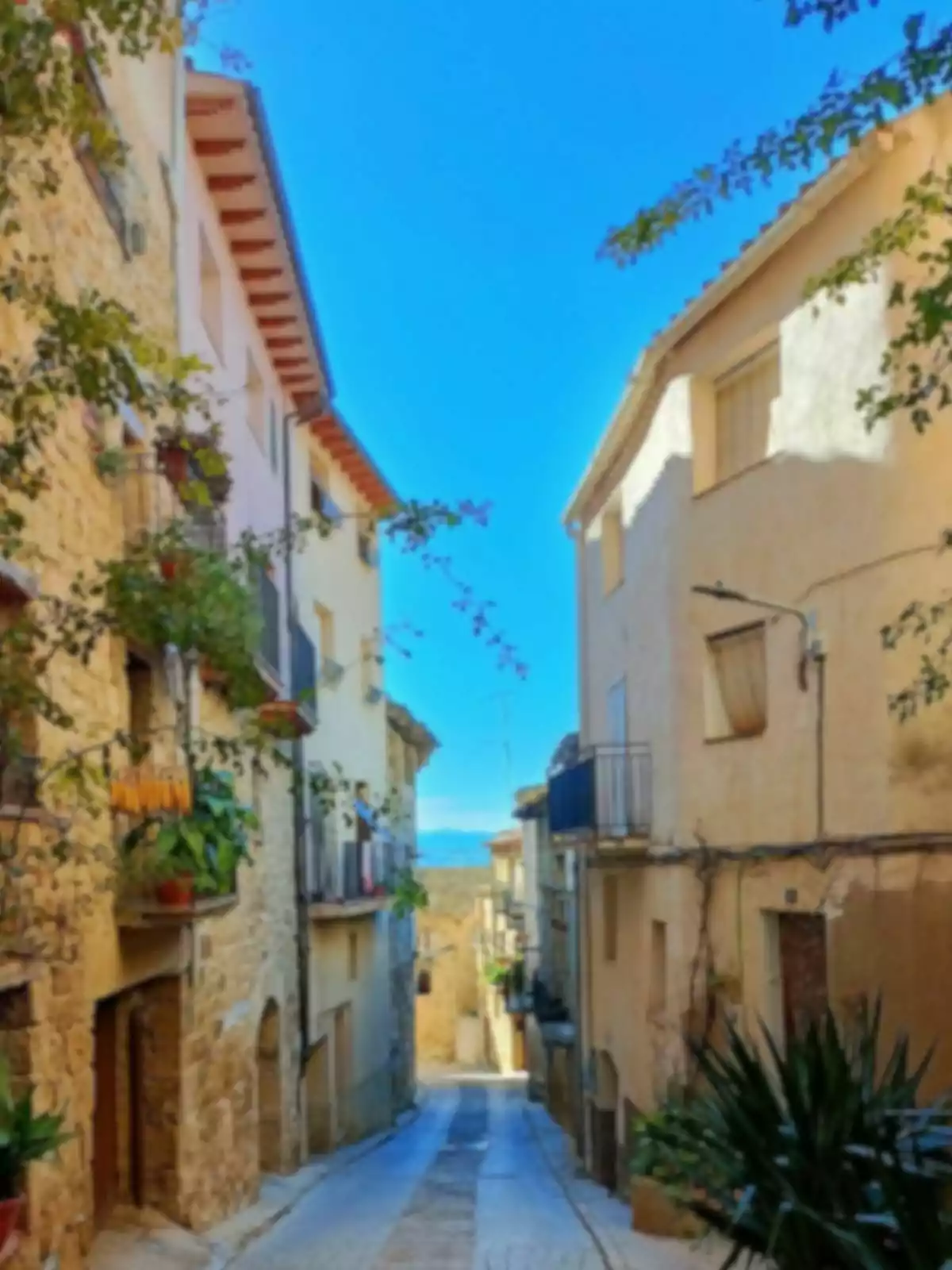 Un carrer estret i empedrat entre edificis antics amb balcons i plantes, sota un cel blau clar. Un carrer estret i empedrat entre edificis antics amb balcons i plantes, sota un cel blau clar.