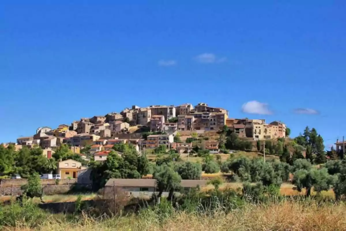 Vista panoràmica d´un poble en un turó amb cases de pedra i vegetació en primer pla sota un cel blau clar.