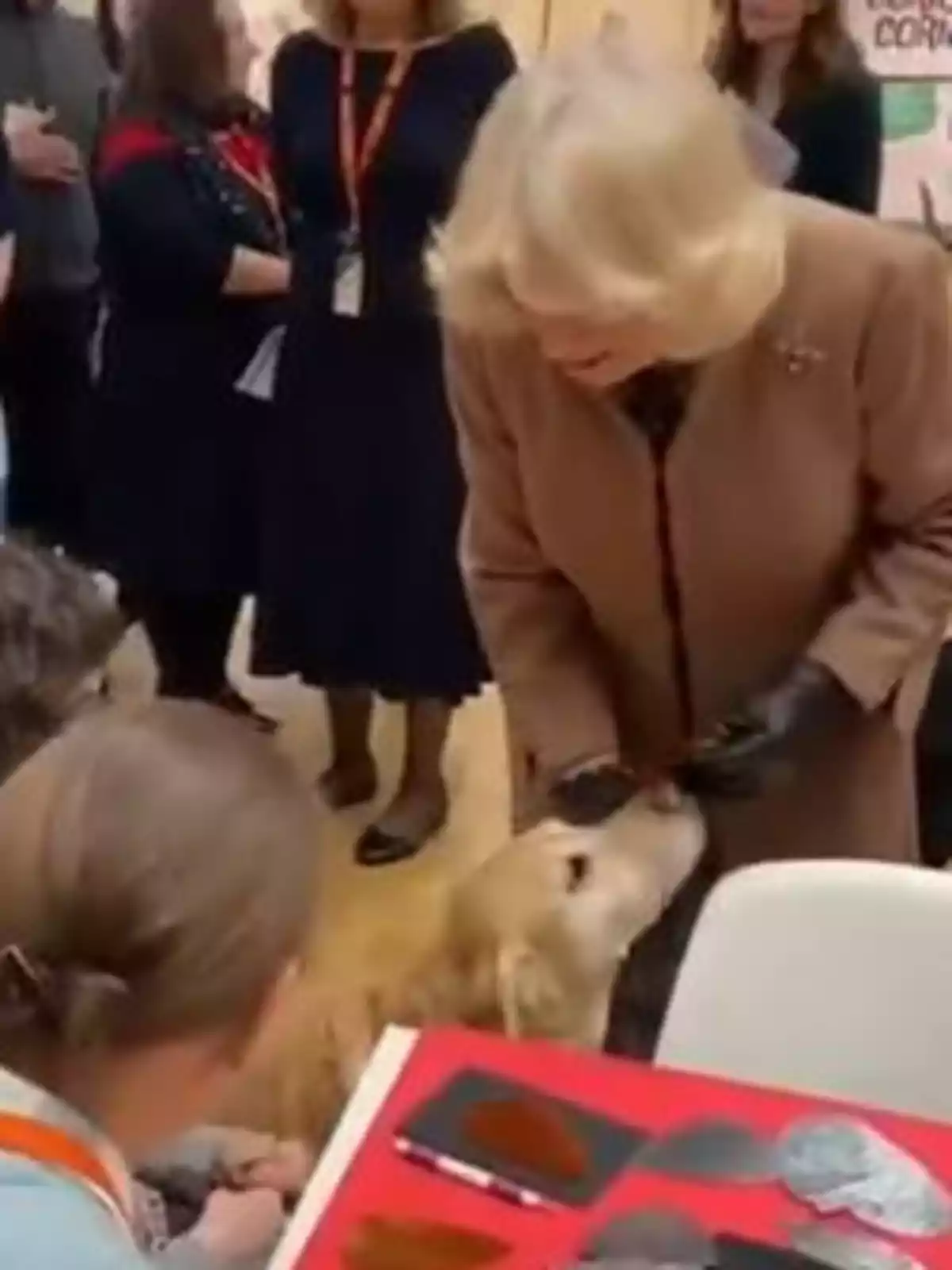 La reina Camila amb un abric marró interactua amb un gos mentre diverses persones observen al fons. La reina Camila amb un abric marró interactua amb un gos mentre diverses persones observen al fons.