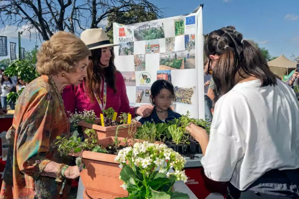 Un grup de persones observa plantes en testos durant un esdeveniment a l'aire lliure amb un cartell de fons que mostra imatges relacionades amb la jardineria. Un grup de persones observa plantes en testos durant un esdeveniment a l'aire lliure amb un cartell de fons que mostra imatges relacionades amb la jardineria.