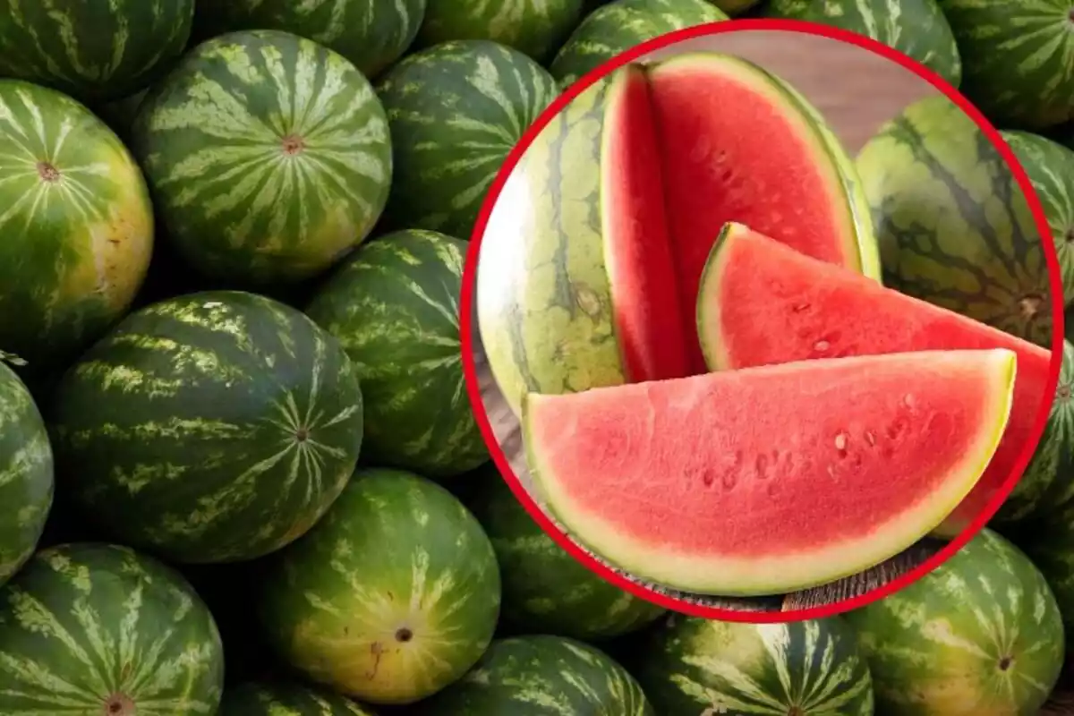 A background photo of several whole watermelons and another photo of Algerian watermelon slices