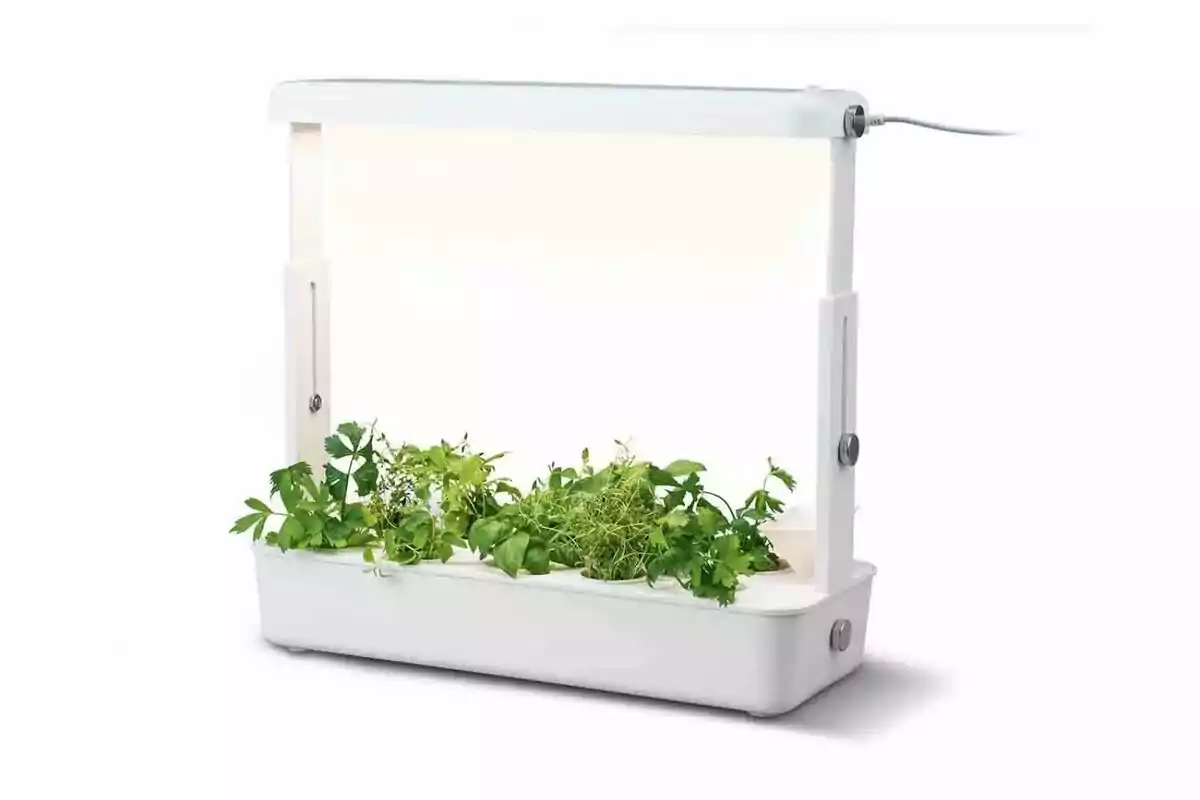Un jardí d'herbes petit en un contenidor blanc amb una llum de creixement LED ajustable. Un jardí d'herbes petit en un contenidor blanc amb una llum de creixement LED ajustable.