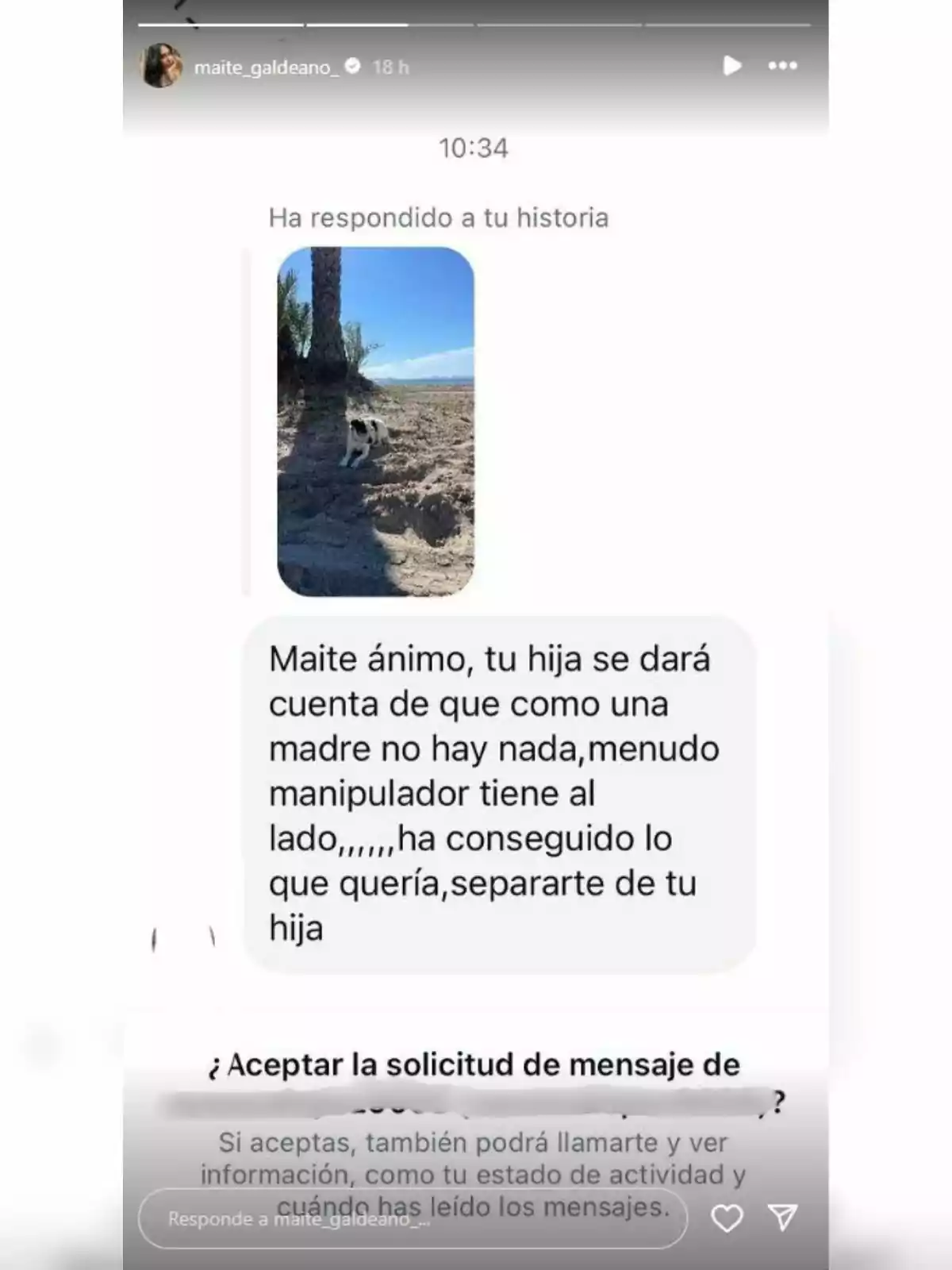 Una captura de pantalla d?una conversa d?Instagram on algú respon a una història amb una foto d?un gos al costat d?un arbre. El missatge de text expressa suport a Maite, esmentant que la seva filla s'adonarà que no hi ha res com una mare i critica una persona propera per ser manipuladora. També es veu una opció per acceptar una sol·licitud de missatge.