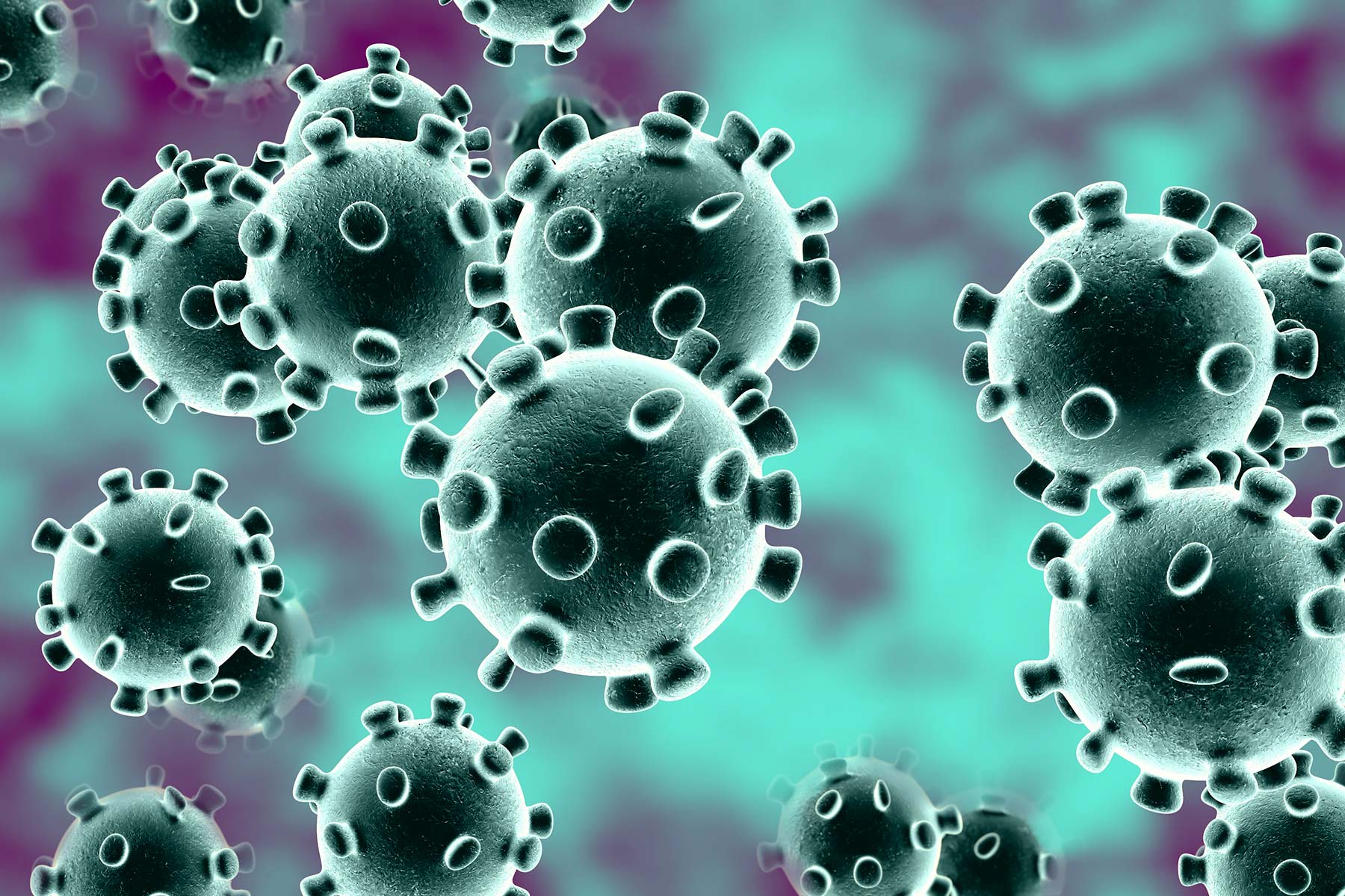 imatge del coronavirus ampliada