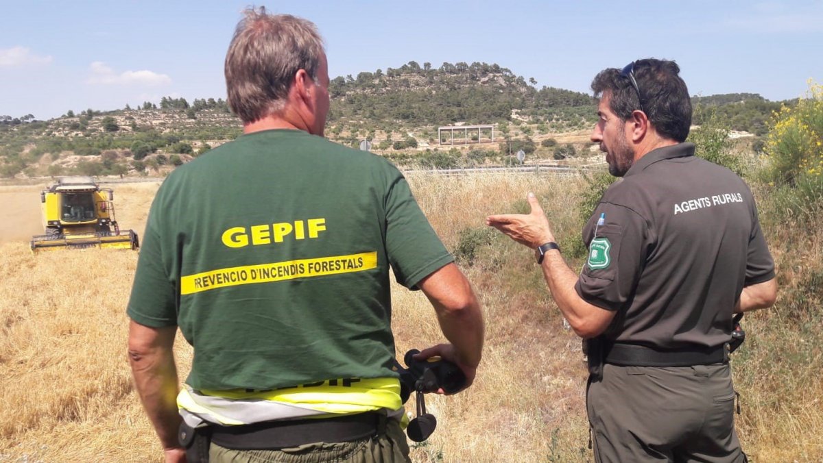 La Conca De Barberà Entre Les Comarques Amb Menys Incendis Durant La Sega 5503