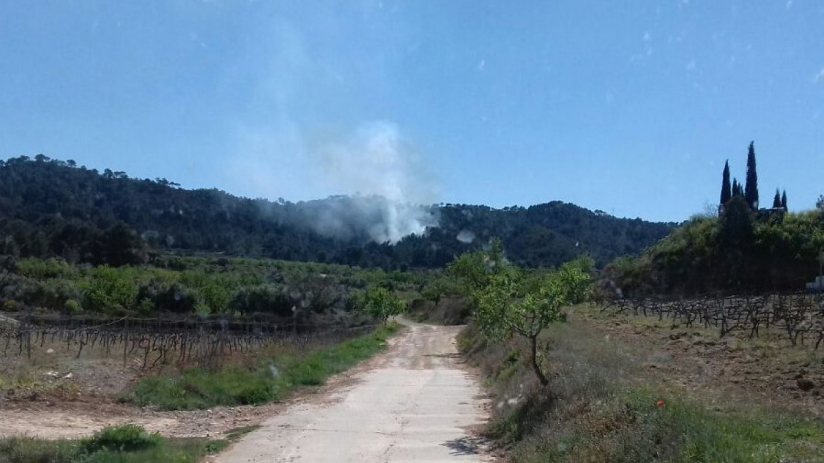 A Gandesa, l'incendi ha provocat una visible columna de fum