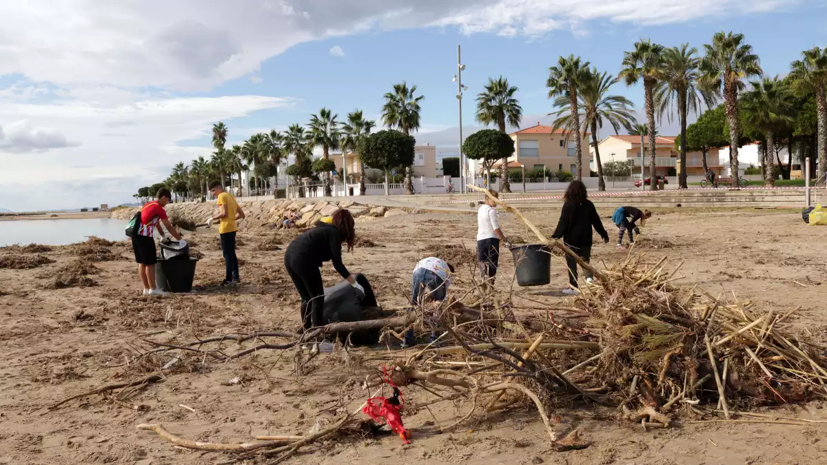 Estudiants de l'IES Baix Camp, ajudant a netejar les platges de Cambrils, encara amb brutícia dies després del temporal d'aigua