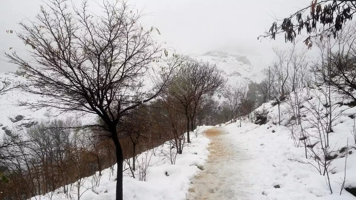 Aquesta serà l'estampa que deixarà la nova nevada d'aquesta matinada a molts sectors del vessant nord del Pirineu