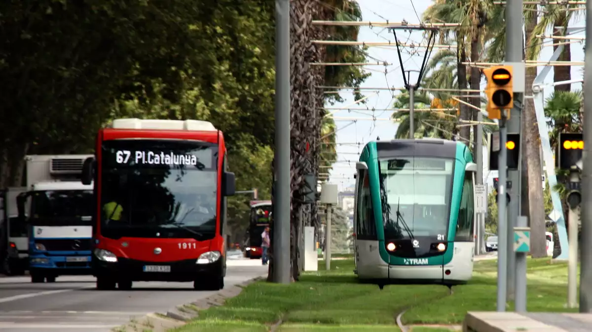 Un bus i un tramvia prop de l'estació de Tram de Francesc Macià de Barcelona