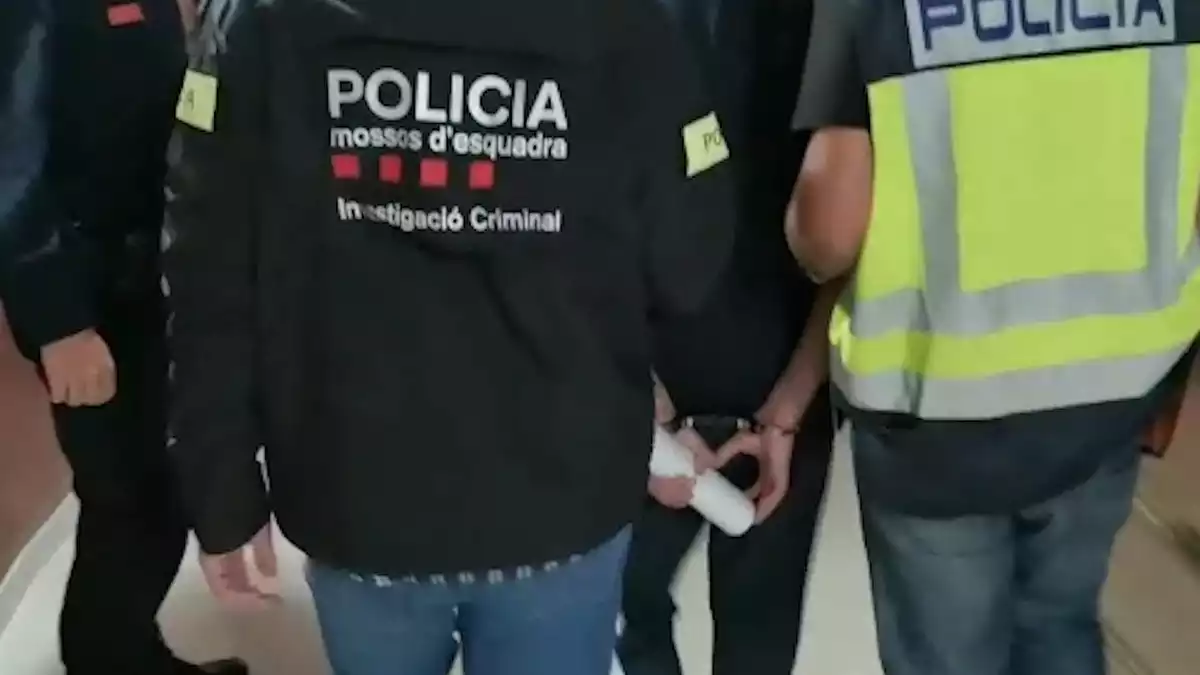 Cos Nacional de Policia i Mossos