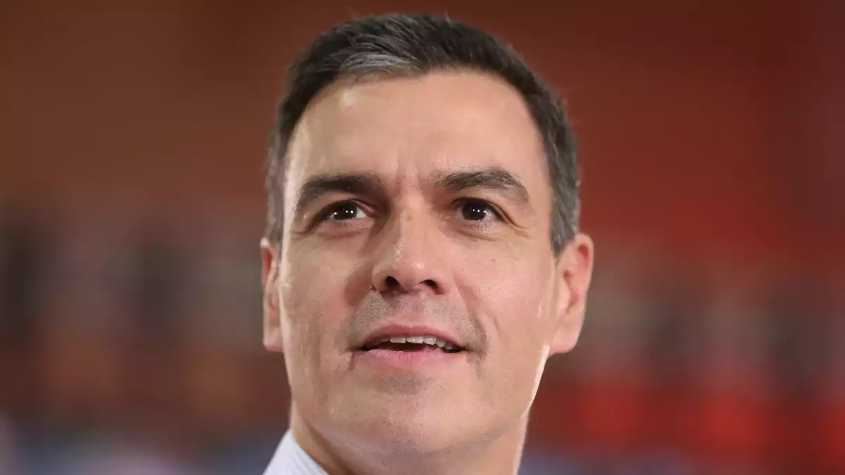 Pedro Sánchez s'imposa en les eleccions del 10-N