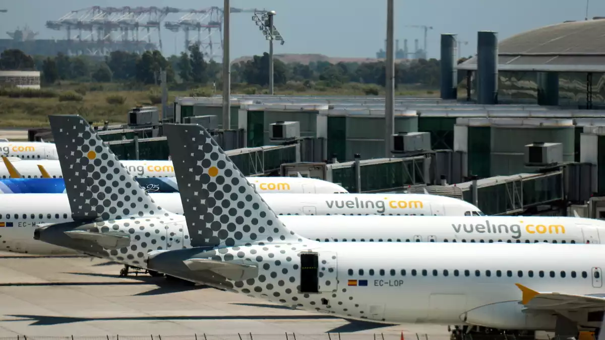 Vueling