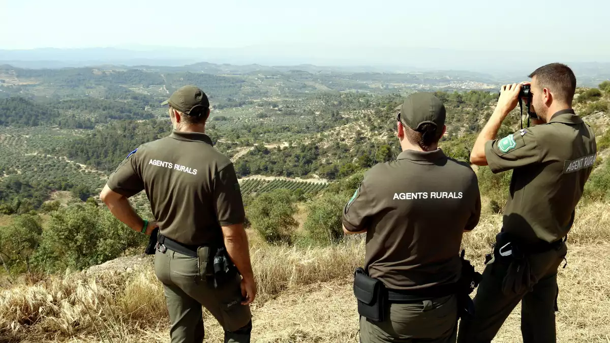 Els Agents Rurals controlen la trajectòria del foc de l'Ebre des d'un punt elevat de la Granadella